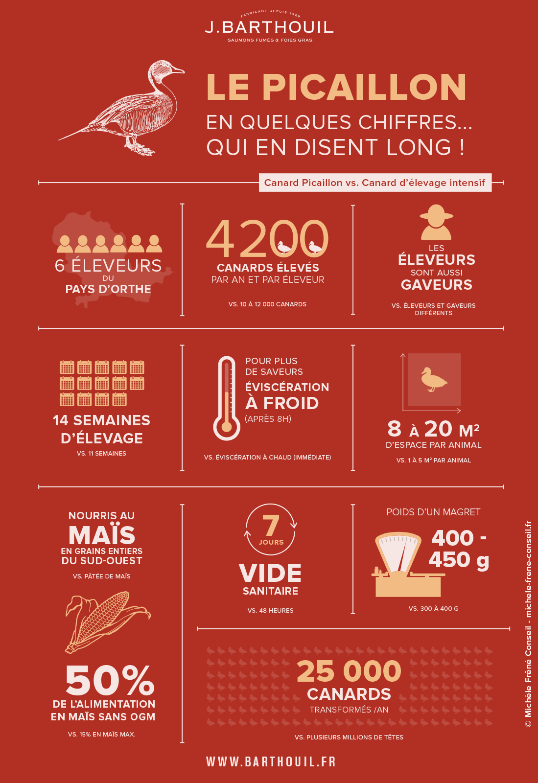 infographie-canard-picaillon