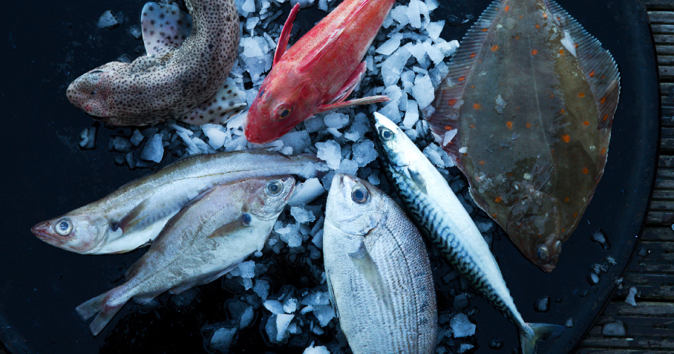 Photo les poissones bons plans